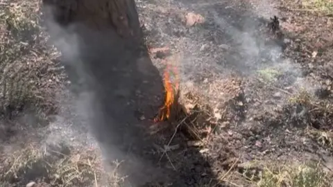 Nottinghamshire Fire and Rescue Service Small flames appear at the base of a tree trunk surrounded by smoke which is coming from the surrounding earth. 