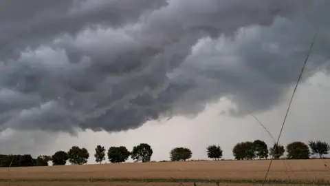 Angela Dark clouds dominate this image as they hang low in the sky. A field with trees in the distance is covered in shadow.