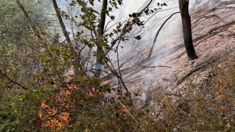 Hazlerigg Parish Council A fire raging in woodland. Orange flames can be seen engulfing a tree and branches and leaves are across the floor.