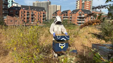 Johnny Reed Beekeeper Tom checks on a beehive on Fearns Island at Leeds Dock.