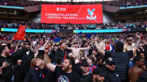 Reuters Fans cheer in the stands at Wembley Stadium