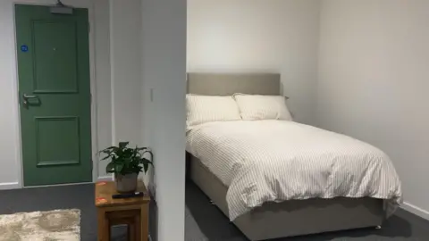 To the left is a green door, small table and plant on the table. To the right is a bed. The walls are white and the carpet are grey. 