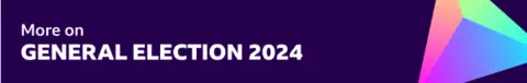 A graphic that reads 'more about the 2024 general election'