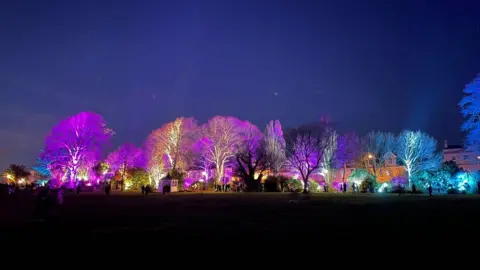 BBC Illuminated trees event