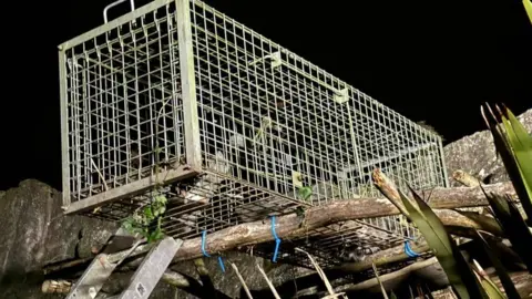 Amazon World Zoo Park Ladder up to tree branches with large metal trap on top.