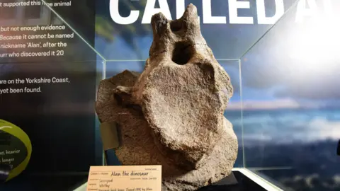 Anthony Chappell-Ross An ancient brown fossil stands on display in a clear glass case with a note at the front saying Alan the dinosaur, sauropod, and found in Whitby in 1995 by a man called Alan Gurr.