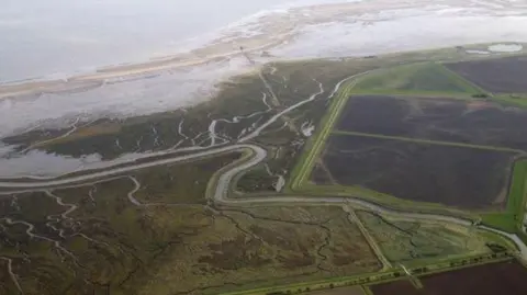 RSPB Birds-eye-view of RSPB Tetney Marshes in Lincolnshire, with a vast coastline, open fields and wetlands.
