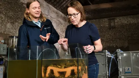 Two glass tanks are placed on a table and filled with murky water. The tank on the left has opaque brown water, while the water in the right tank is much clearer. It contains clay bricks and stacks of oysters. A man with shoulder-length fair hair points at the tank, while a woman with brown hair and black glasses peers at it, also pointing. They are in a large stone barn with grey tanks behind them.