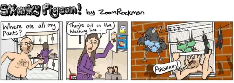 Zoom Rockman Skanky Pigeon strip