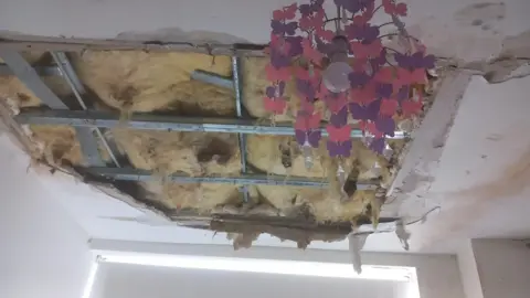 A collapsed ceiling with surrounding mould and the insulation revealed. There is a light hanging from the ceiling which is surrounded by a lampshade of plastic butterflies.