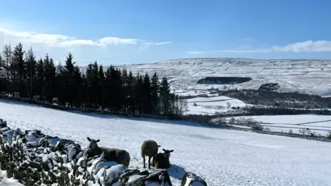 Tobythegardener/weather watchers Newbiggin, Co Durham