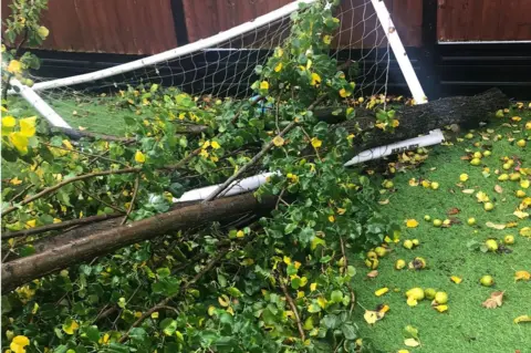 Hayley Reid Fallen tree in Corby