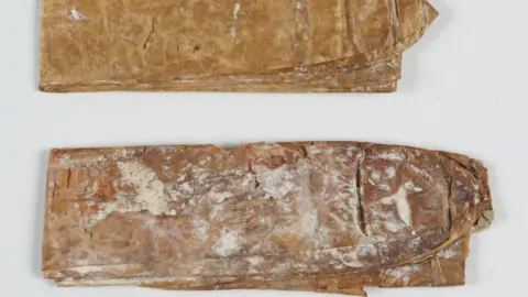 Warwickshire County Record Office - CR1886/617/118 Two animal gut sheaves with the appearance of sausage skins.