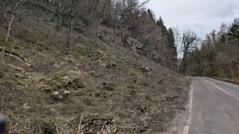 Cleared trees on the Via Gellia