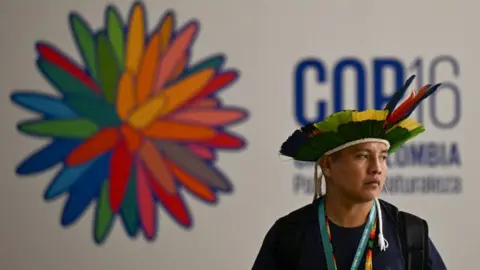 Getty Images A delegate at the UN biodiversity summit, COP 16