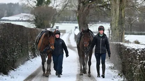 Pacemaker Two horses are lead up a snowy lane by two female horse rides in their 20s wearing full riding gear