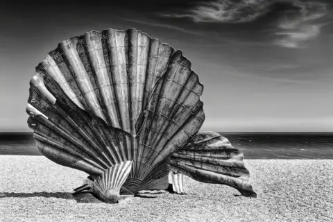 David Belton's scallop sculpture on the beach