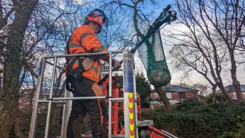 RSPCA Tree surgeon rescues kitten from tree