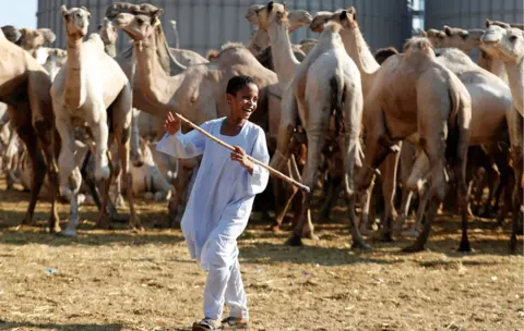 Reuters A boy smiling at Birqash Camel Market near Cairo in Egypt - Friday 17 August 2018