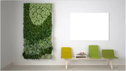 Getty Images A "green wall" or "vertical garden"