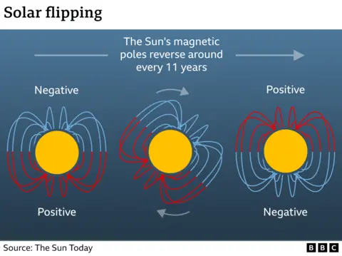 A graphic showing the Sun's magnetic poles flipping