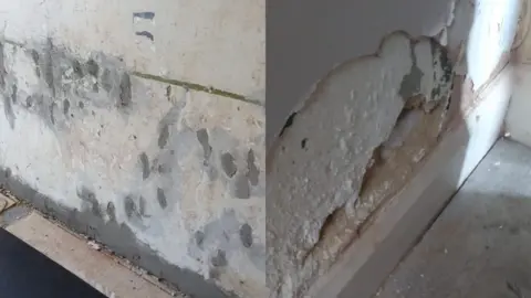 Melanie Town Two photos side by side. One shows a wall with spots of wet plaster seeming to have been used as a quick fix for the issue. The other shows plaster coming off the wall and onto the floor as a result of damp.