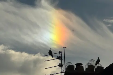 bbc weather watchers / Biggles The wispy cloud in the blue sky is reflecting a strip of colourful rainbow, which is purple, blue, green, yellow and red. The top of a building is cast in silhouette, so there are satellites and two birds that look all black.