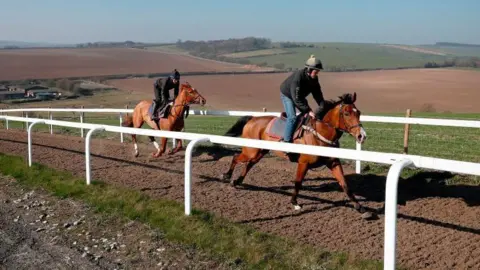 Adrian Dennis/AFP via Getty Images Horses from trainer Jamie Snowden's yard are seen on the gallops near his stables in Lambourn, Berkshire, on January 27, 2019.