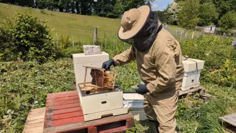 A man in a beekeeping suit lowers frames of honey comb into a box hive in a meadow.