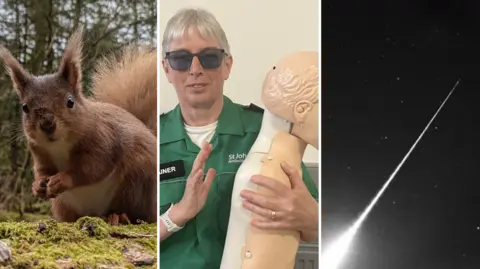 A side by side composite of three separate images: On the left, a red squirrel looks straight ahead, sitting on a mossy branch. In the middle, a woman with white hair, wearing a paramedic's uniform, holds a test dummy. On the right, a meteor, a bright white line of light, is seen crossing a starring night sky.