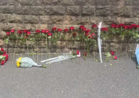 Red roses leaning against a wall