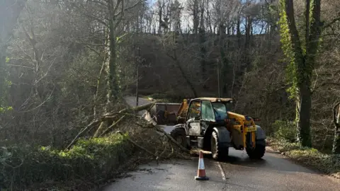 Martin Wallis A JCB telehandler is lifting a tree trunk with its bucket in a lane which is closed with a cone.