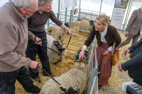 PA Media The Duchess of Edinburgh is stroking the head of a sheep while she talks to a man and a woman who are holding the animal's leads.