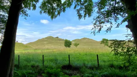Northumberland Wildlife Trust View of Northumberlandia from the woodland