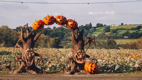 Avon Valley Country Park An arch made of trees with faces and pumpkins is the entry to a pumpkin field. There are lots of bright orange pumpkins in the field. There are green fields in the background with white buildings on the brow of a hill.