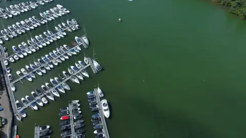 Owen Humphreys Algae by the marina