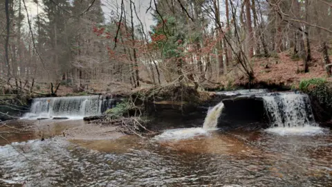 Google Two small waterfalls flow into a river. Nearby trees are bare and the sky is grey