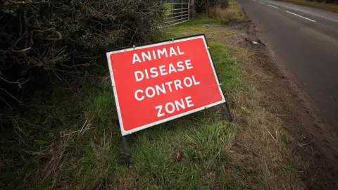 A red and white sign which reads 'Animal Disease Control Zone' lies on the side of a grass verge country road. 