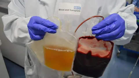 NHS A person in a white PPE and purple latex gloves holding two clear pouches with blood and yellow plasma.