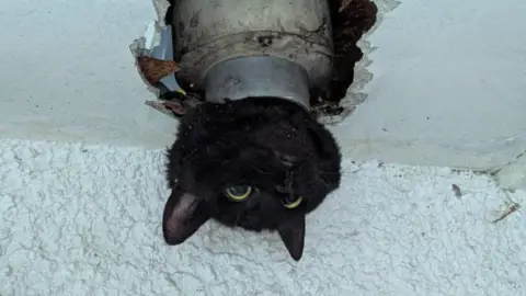 Clevedon Fire Station A black cat's head is sticking out of a pipe in a garage in Clevedon. Around the pipe is white plasterwork of the walls and ceiling