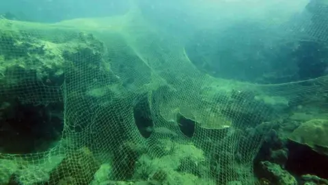 Giannis Athinaios Nets on the sea bed