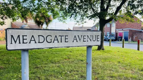 A road sign that says "Meadgate Avenue". It is on a small grassed area with a tree on it, based next to a residential street.