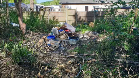 The Woodland Trust Comfort's Wood, Kent