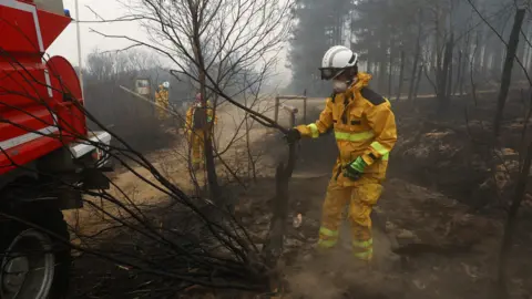 Firefighters work next to charred trees