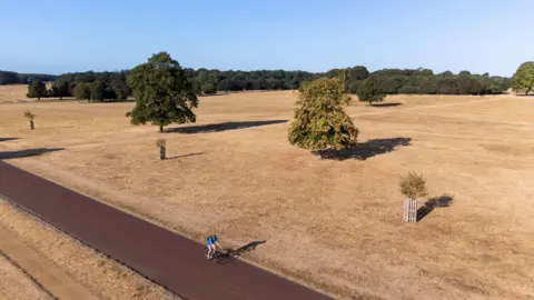 Ben Whitley/PA Wire A cyclist is surrounded by brown grass which has gone dry in the drought-like conditions in Richmond Park, London. The extreme weather of summer 2026 has included two record-breaking heatwaves in May and June that led to more than 2,800 excess deaths. Two more heatwaves in July, the driest July in England and Wales since records began, have fuelled drought and wildfires. Picture date: Thursday August 6, 2026. PA Photo. Photo credit should read: 