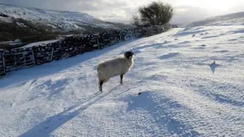 PA Scenery near Reeth, North Yorkshire