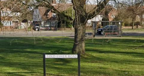 A Google Maps image showing a road sign for Old Esher Road on a green in front of a tree