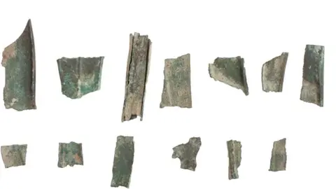 Oxfordshire Museums Service Metal fragments, mostly a shade of green are lined up on a white background