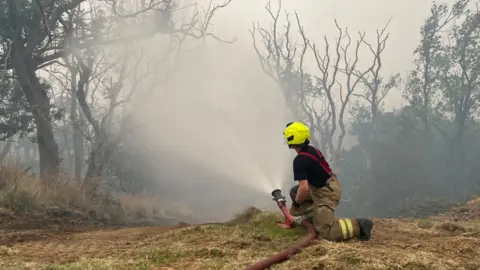 Oli Constable/BBC A firefighter points a hose with water spraying out of it towards skeletal burned trees