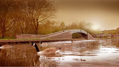 Phil Riley Bumble Hole local nature reserve